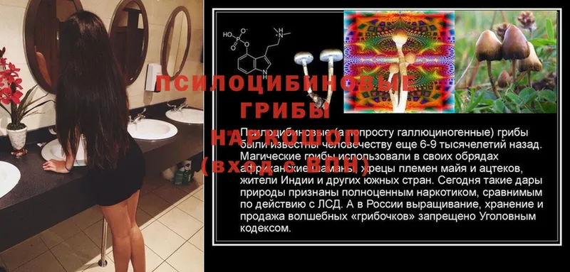 Галлюциногенные грибы Magic Shrooms  Алапаевск 